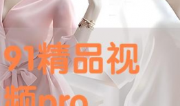 91在线精品视频,海量优质内容，畅享视听盛宴