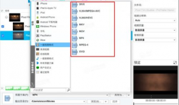 视频格式有哪几种,揭秘多种格式背后的奥秘