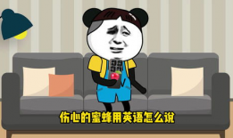 动画小视频搞笑视频,笑出腹肌的欢乐时光