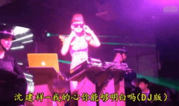 dj舞曲视频,探索DJ舞曲的魅力之旅