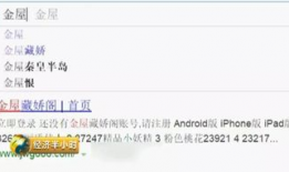 黄视频网址,带你走进网络暗流涌动的世界