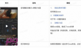 视频脚本,一场视觉与情感的盛宴