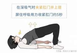 提肛运动怎么做视频,轻松掌握居家健身秘籍