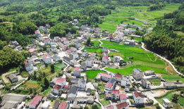 欧美作爱视频,揭秘私密生活片段