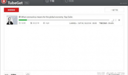 youtube怎么下载视频,详细步骤与工具推荐